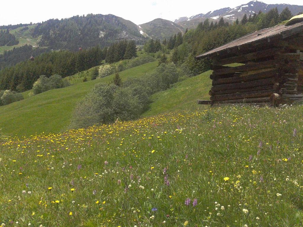 Apart Panoramablick Kaunerberg Esterno foto